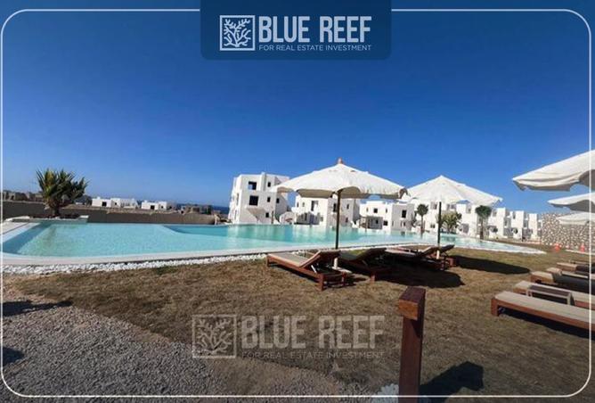 8405843 - صورة العقار 3