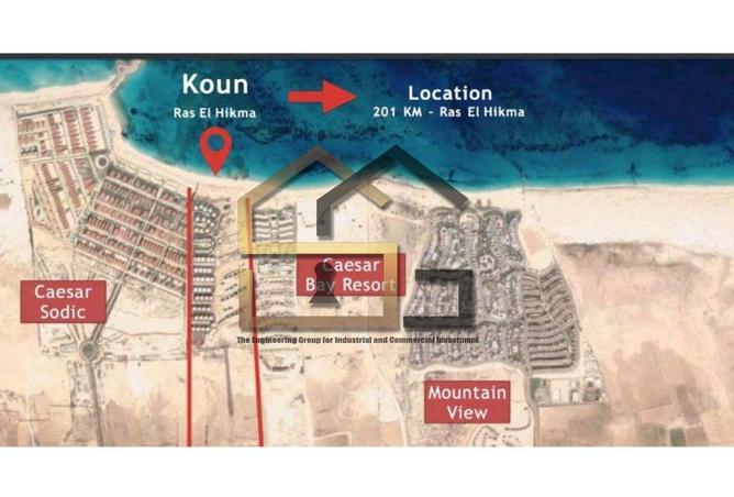 8293604 - Property Image 3