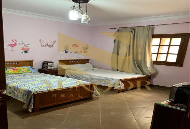 7989377 - Property Image 3