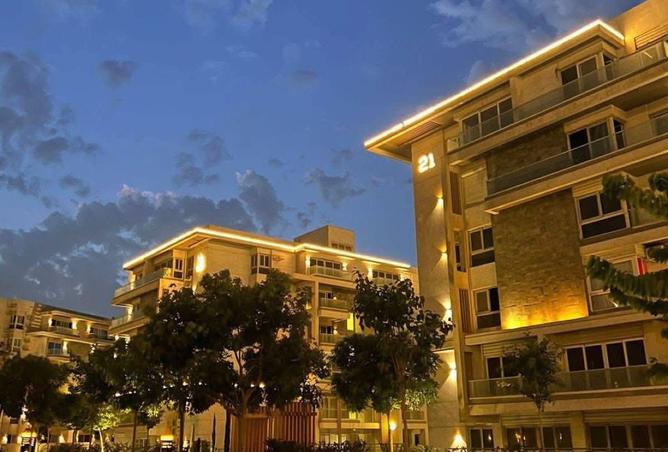 8281382 - Property Image 3