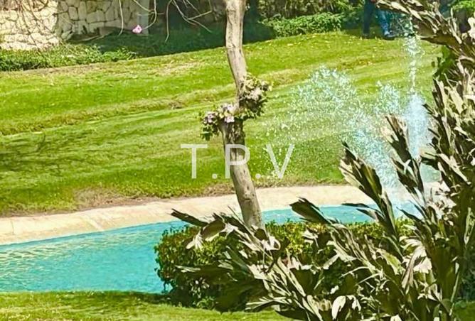 7957575 - صورة العقار 3