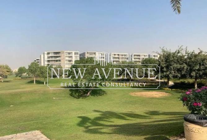 8432377 - Property Image 3