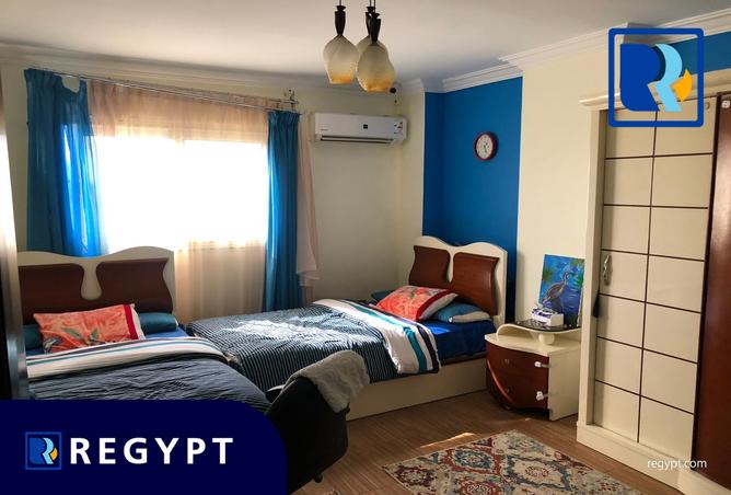 7994134 - Property Image 3