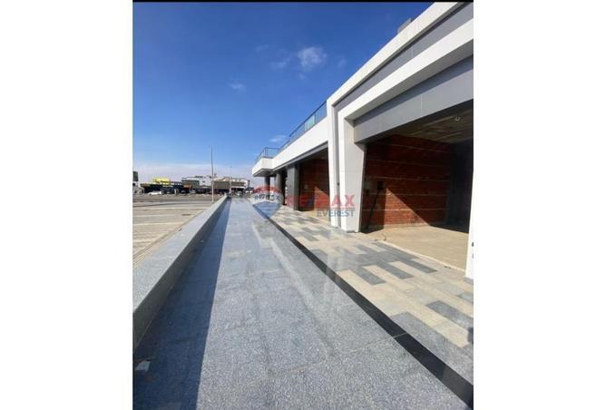 6869782 - Property Image 3