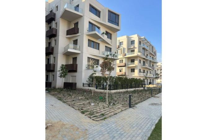 8436093 - Property Image 2