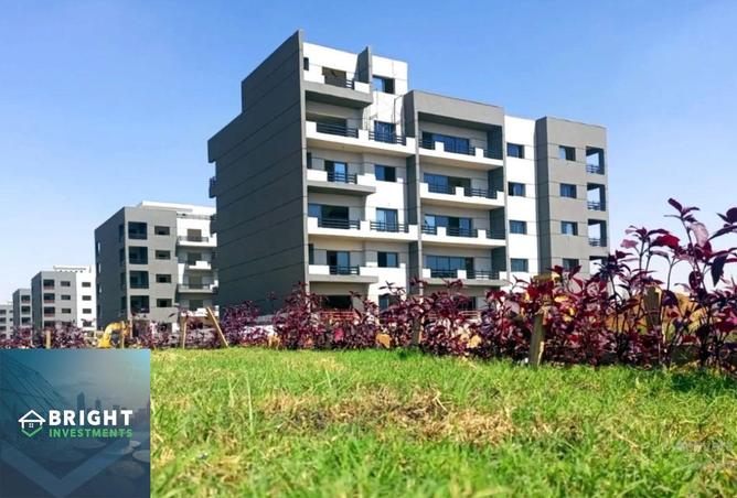 8233601 - صورة العقار 2