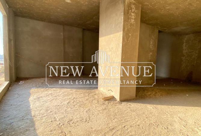 8290185 - Property Image 3