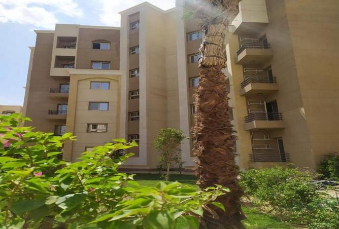 8009424 - Property Image 3