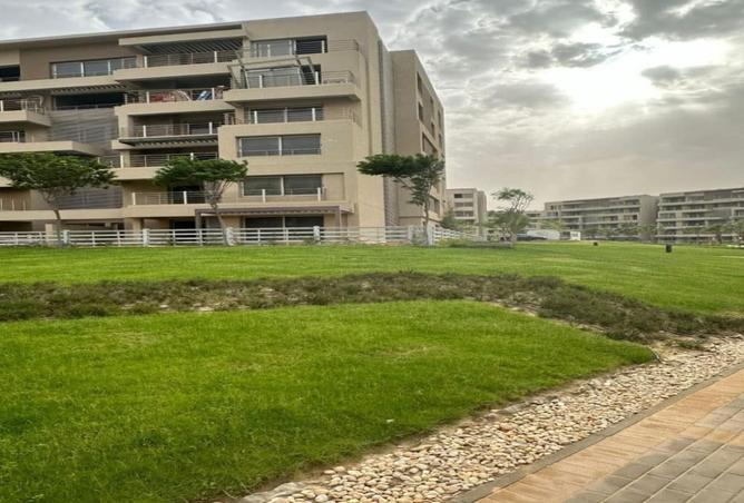 8423643 - Property Image 3