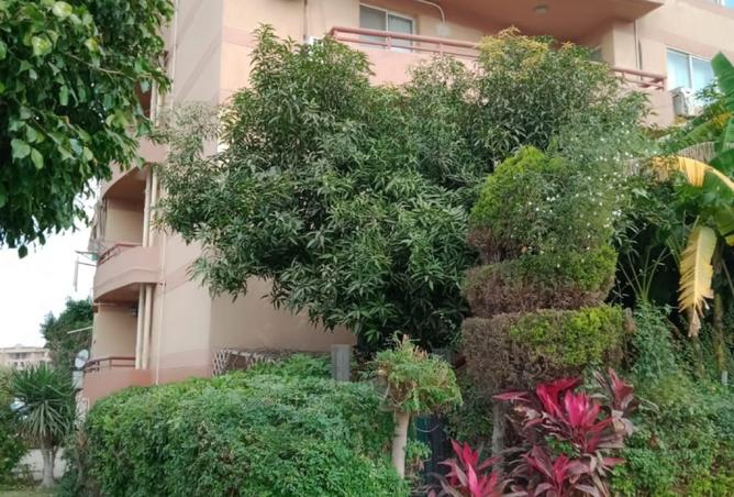 7887937 - صورة العقار 2