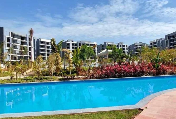 8455376 - Property Image 3