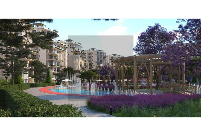 8114582 - Property Image 2