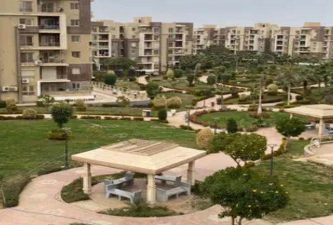 8257258 - Property Image 3