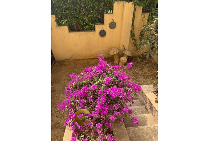 8257700 - صورة العقار 3