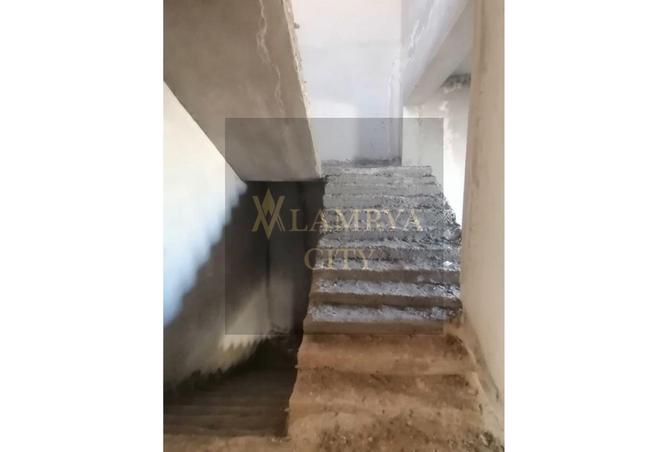 8547042 - Property Image 2