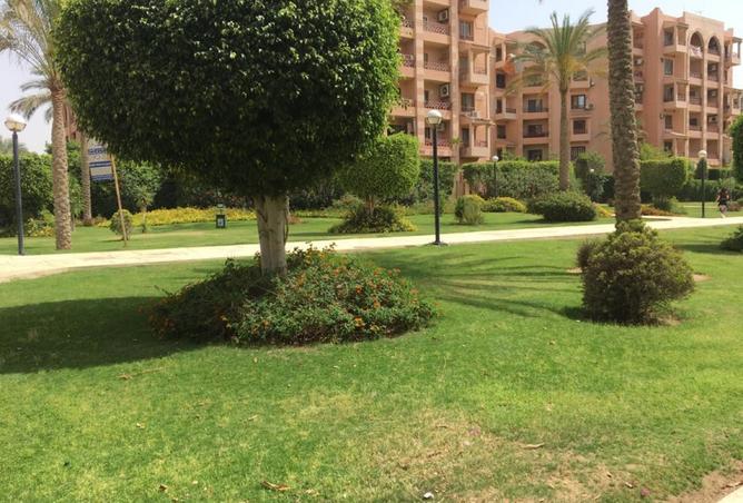 8301775 - صورة العقار 3