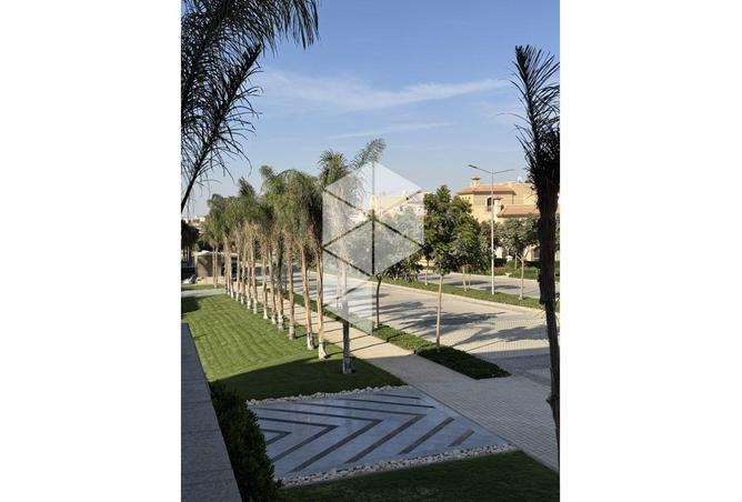 8292116 - Property Image 3