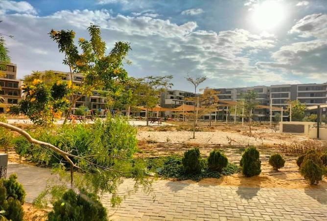 8004209 - صورة العقار 3