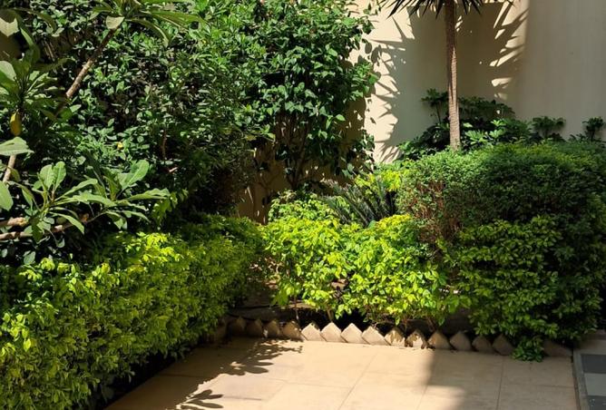 7908903 - صورة العقار 3