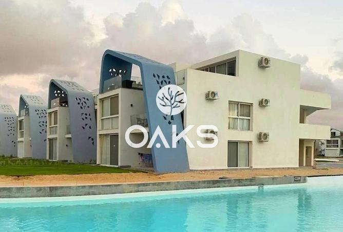 8157650 - Property Image 2