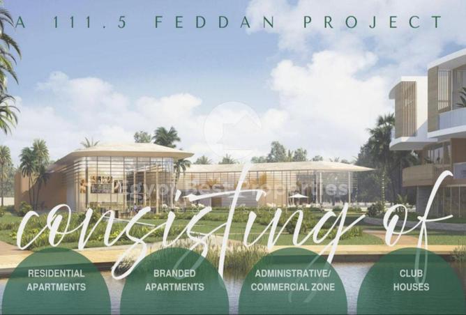 8209614 - صورة العقار 3