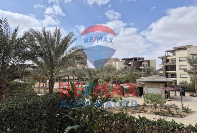 8266247 - Property Image 3