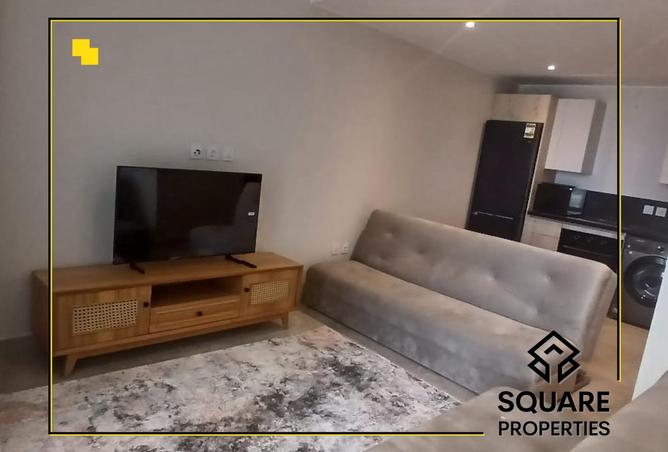 8137436 - Property Image 3