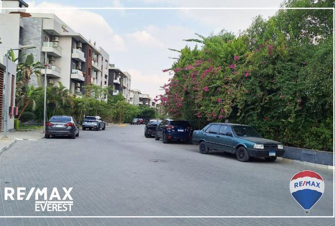 7934295 - Property Image 3