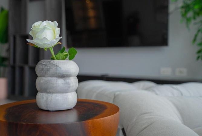 8236127 - Property Image 3