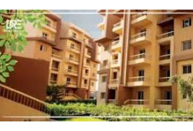 8395259 - Property Image 3