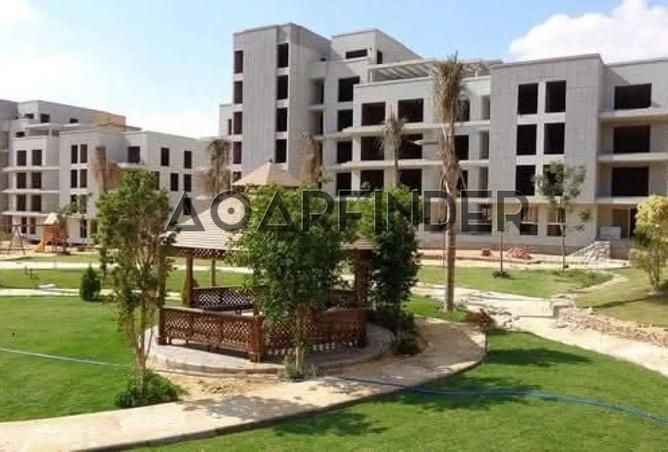 8392863 - Property Image 3