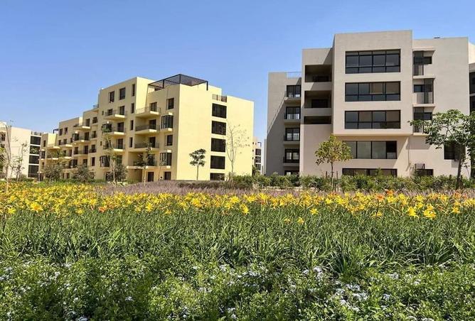 8231239 - صورة العقار 3