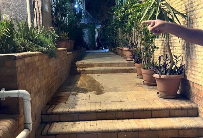 8198507 - صورة العقار 2