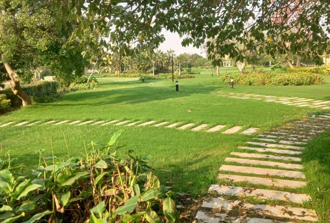 8293918 - Property Image 2