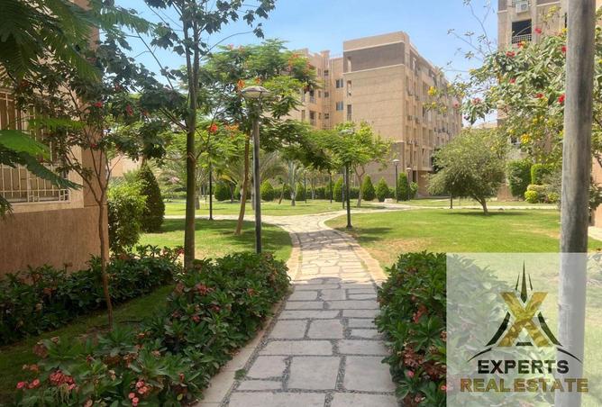7956443 - صورة العقار 2