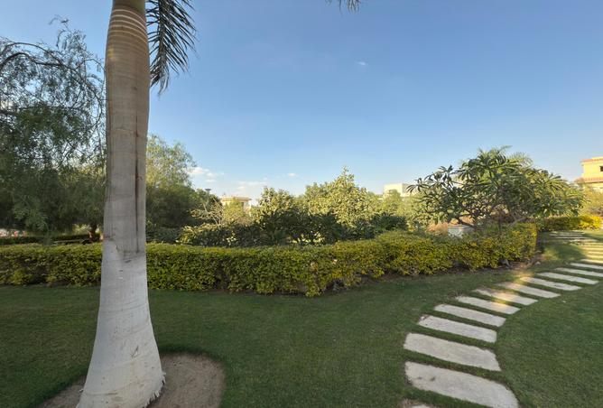 7985849 - صورة العقار 2