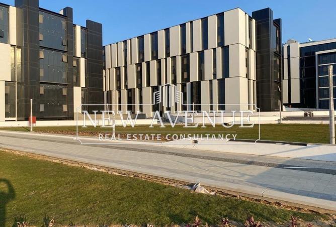 8135880 - Property Image 3