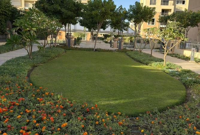 8432904 - صورة العقار 2