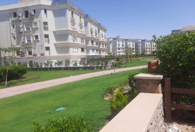 8413536 - Property Image 2