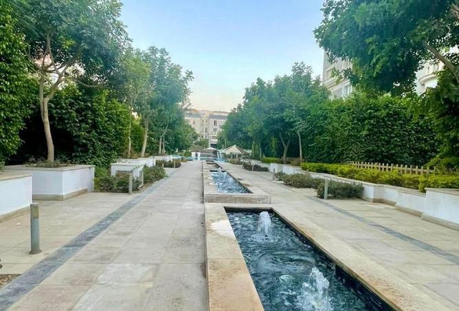 8337337 - Property Image 3