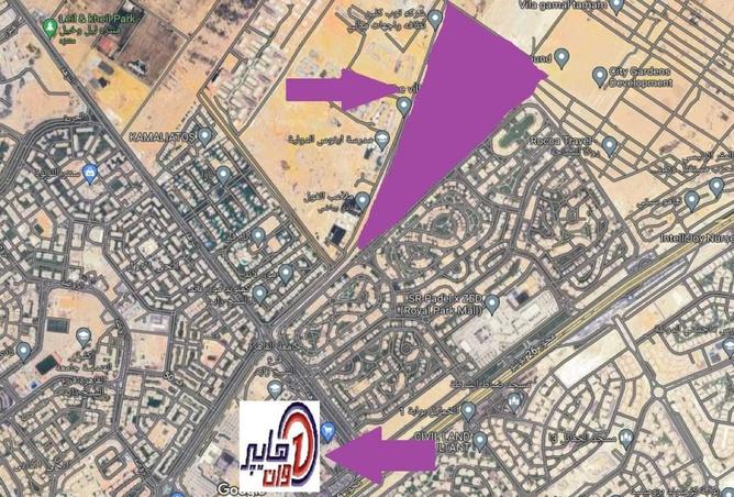 8262231 - Property Image 3