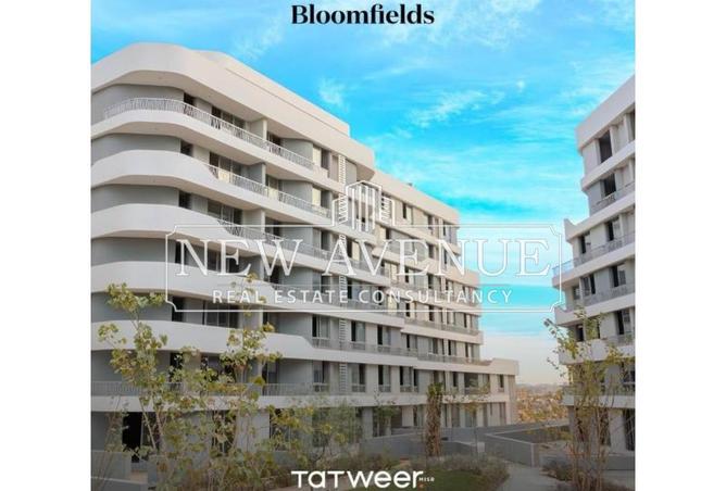 8087417 - الصورة الرئيسية للعقار