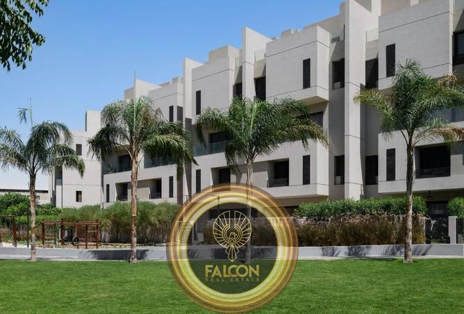 8432844 - Property Image 3