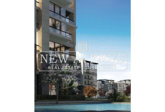 7764780 - Property Image 3