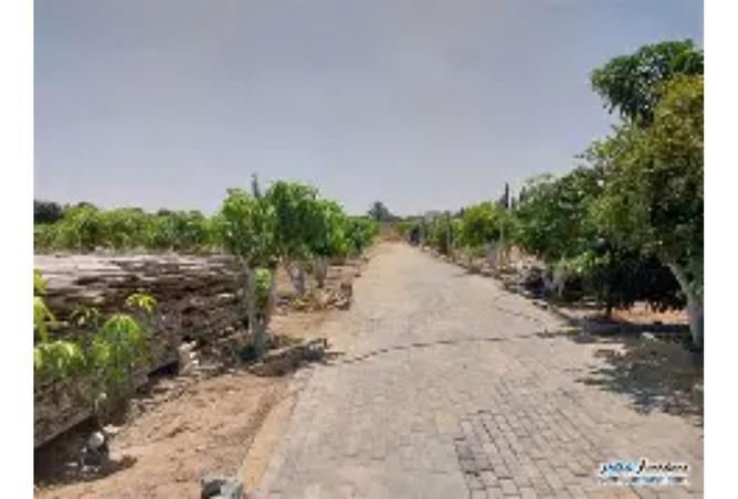 8311764 - صورة العقار 3