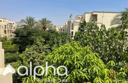 Apartment - 3 Bedrooms - 2 Bathrooms for rent in Hadayek Al Mohandessin - 4th District - Sheikh Zayed City - Giza