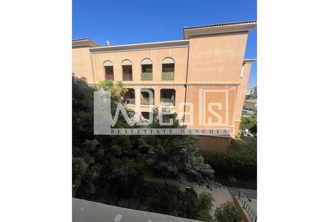 7976881 - Property Image 3