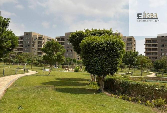 8125494 - Property Image 3