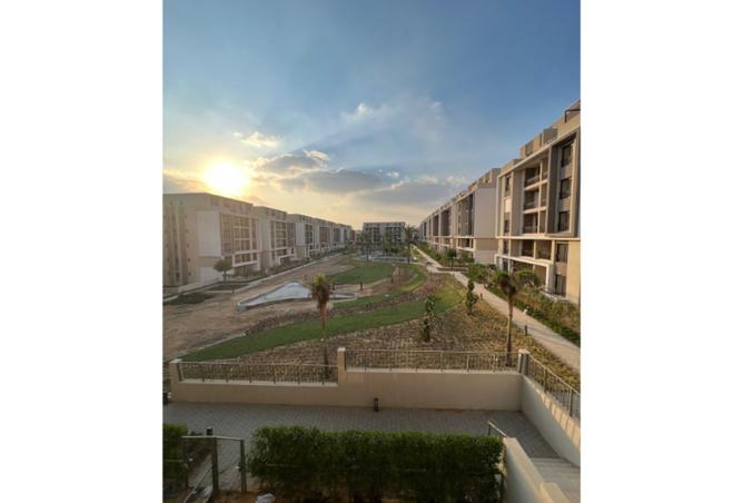 8425349 - Property Image 3