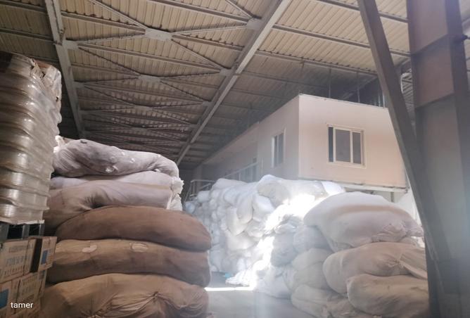 8335182 - Property Image 3